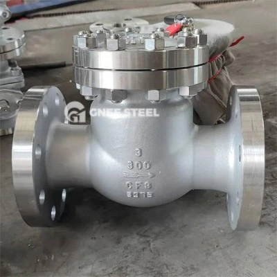 cryogenic swing check valve cryogenic swing check valve